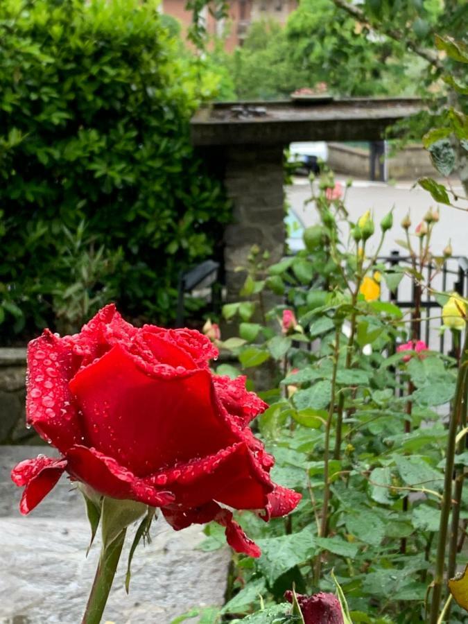 Bed and Breakfast Antica Fornace Bucine Exterior foto